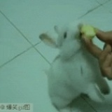 烂兮兮的小清新