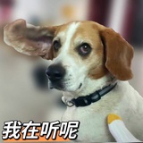 晴有风雨