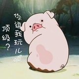 公孫尹