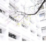MP_Haiwei