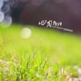 豆豆