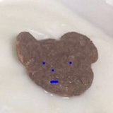 天天吃外卖