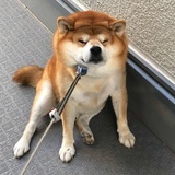 不空腹吃早餐