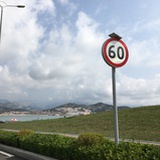 沉哥