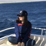 窗外流过的光