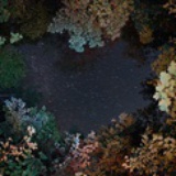 R.