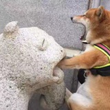 傻得一本正经