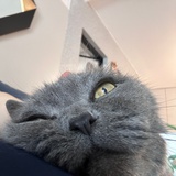 你谁呀