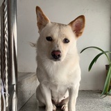 勇敢的孩子