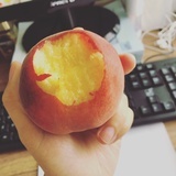 不要关注我
