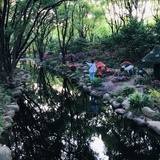 小兔