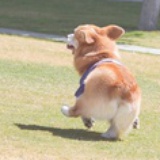 甜软白兔糖