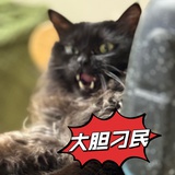 茶理有点点茶