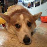 J_