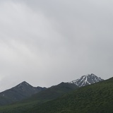 风吹浅仓舞