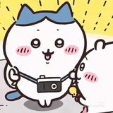 观南