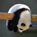 马赛克