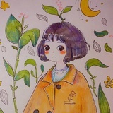 地蕾