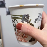 肉桂粉