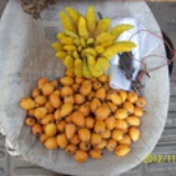 shangli03