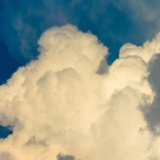 纳兰拉着顾惜朝