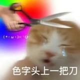 辣炒秃头猫