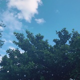 夏天啊