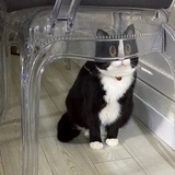 销号