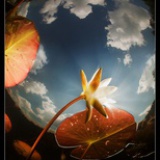 希希星光思密达