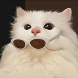 没有灵魂的Aki