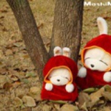 hehexixi