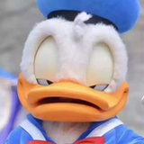 陆伯言