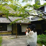 saki