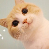黑眼圈