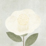 pentell