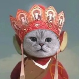 管理豆小瓣员