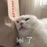 墨墨