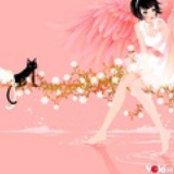 兔子with猫