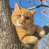 潤°