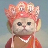 阿车