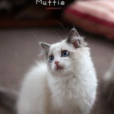 LukyLee