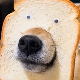 辛蔡