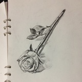 草_自青