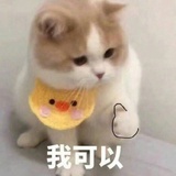 骂我会变丑