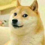 豆友65154911