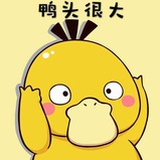我就是双子座