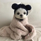 Auuunicorn