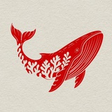 林小鱼