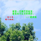 破南城