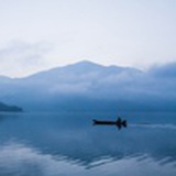 随波逐流